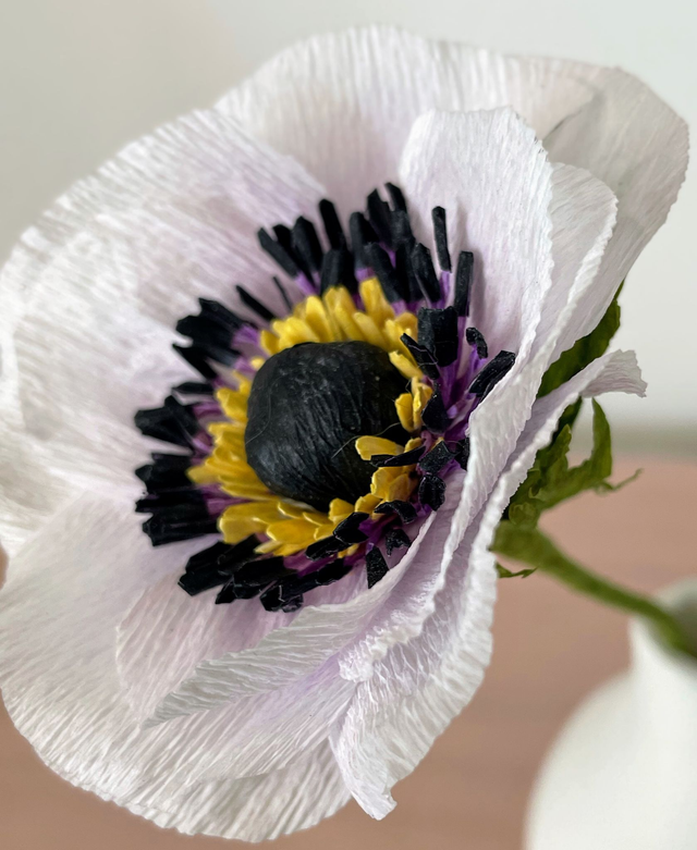 Anémone "Selma" avec son vase artisanal offert