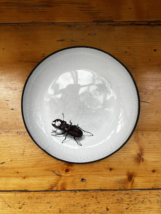 Pastateller 27cm Hirschkäfer (MSM)