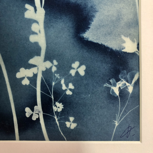 Cyanotype - « Entrées maritimes »