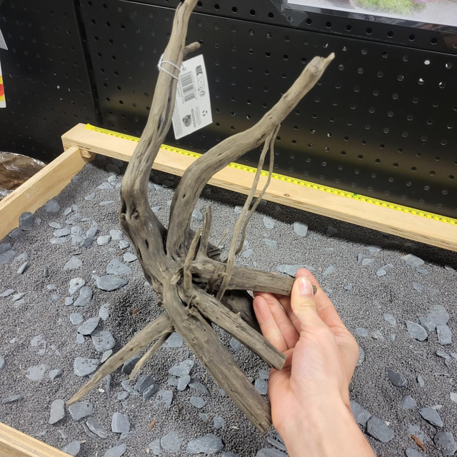 Sf Black spiderwood M 8715897342417