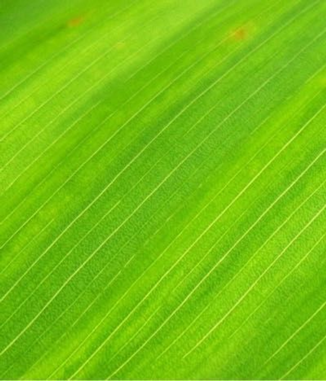 1 x One Hour Pass....................In-studio