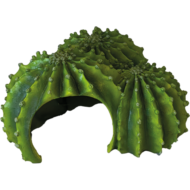 Repto Deco Cactus Triple – Cachette pour reptile