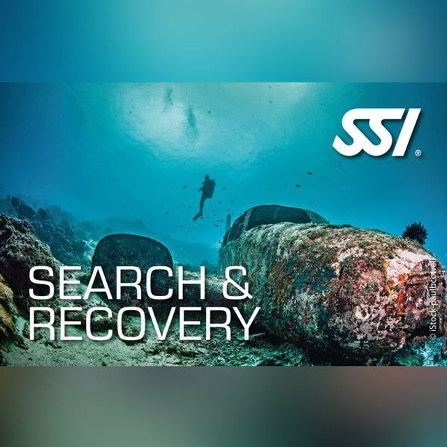 Search & Recovery 