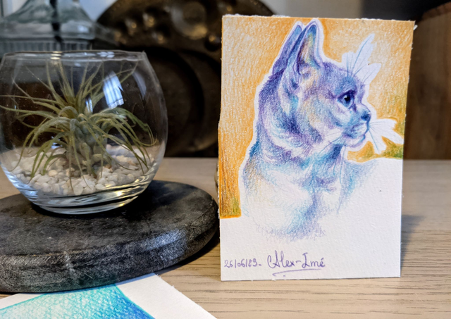 Sans titre violet et jaune, 7x10 cm