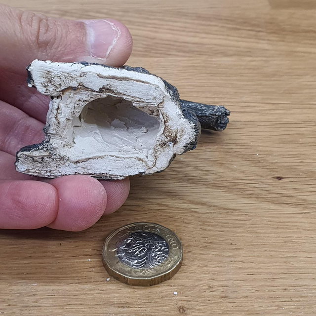 Grey squirrel sculpture/ cane topper