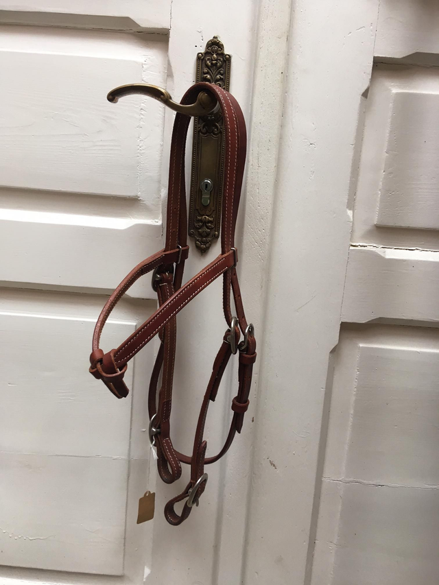 Futurity Kopstück mit Buckles