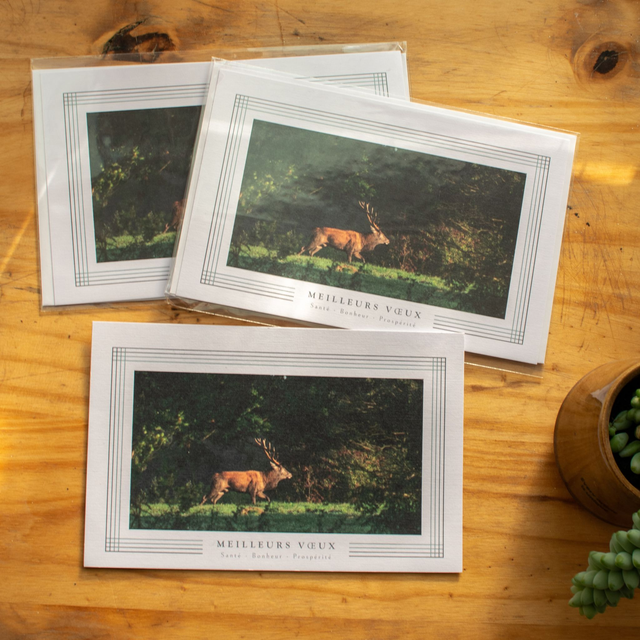 Carte de voeux Cerf
