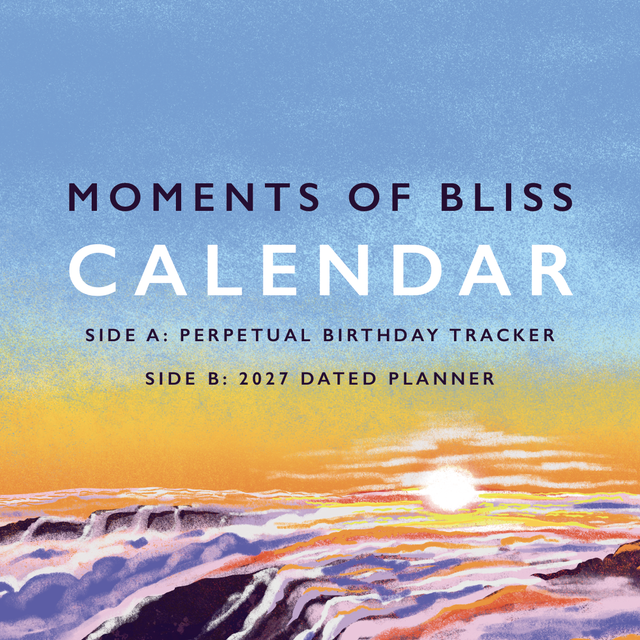 PRE- ORDER 2 in 1 Wall Calendar - 2027 Planner & Perpetual Birthday Calendar