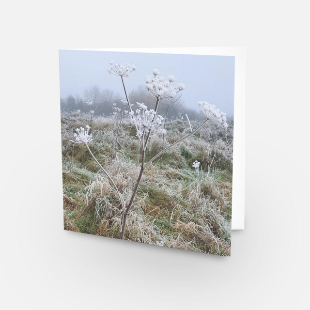 Bishops Palace Nettleham Village Winter landscape Christmas greeting card