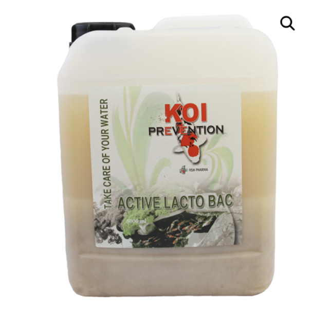 Lacto bac 5L