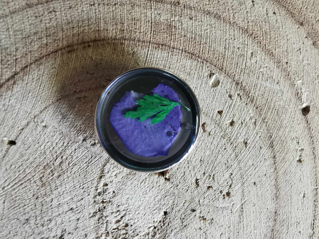 Pétale violette et fougère