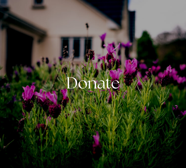 Make a Donation Choose an Amount.