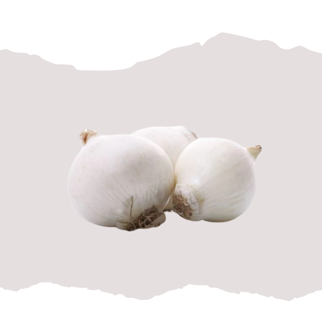 Oignon blanc Snowball