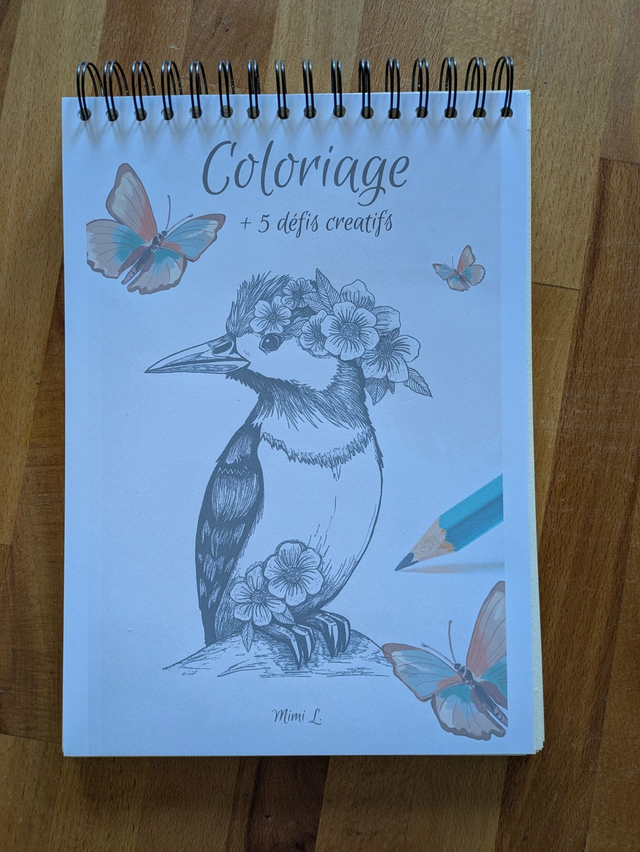 Carnet Défis Créatifs