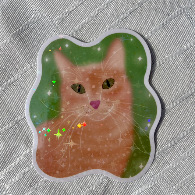 Vinyylitarra “Fabulous Cat”, glitter 1