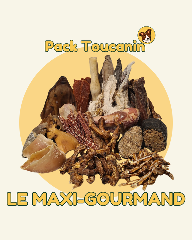 Pack &quot;MAXI-GOURMAND&quot; mastication