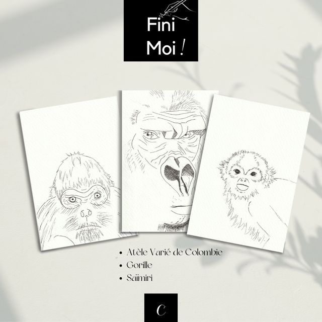 Lot Primates 3