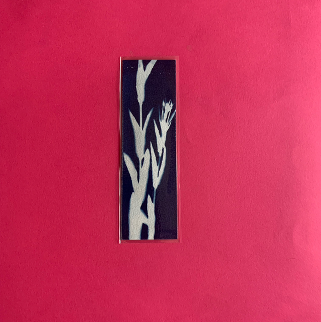 Marque page cyanotype végétal original sur papier épais et plastifié