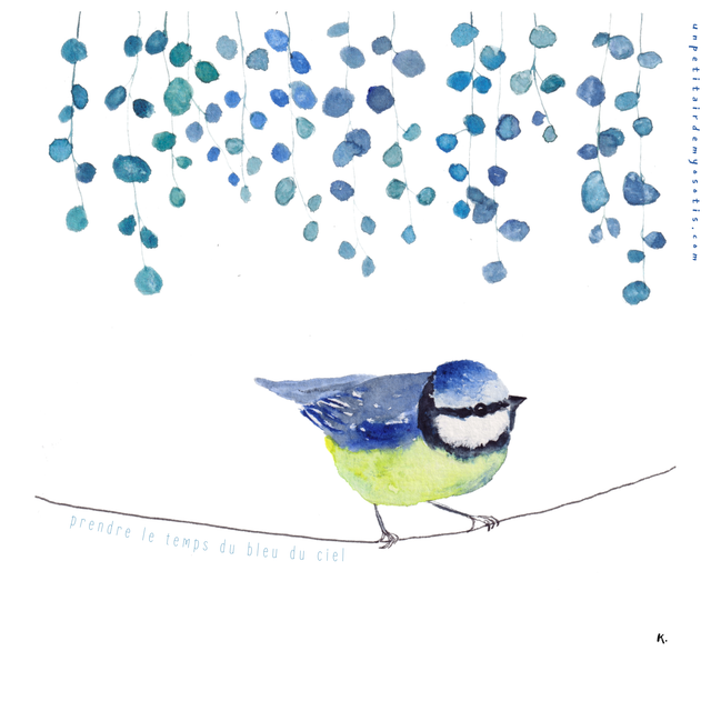 Carte-poème Mésange sur un fil &quot;prendre le temps du bleu du ciel&quot;