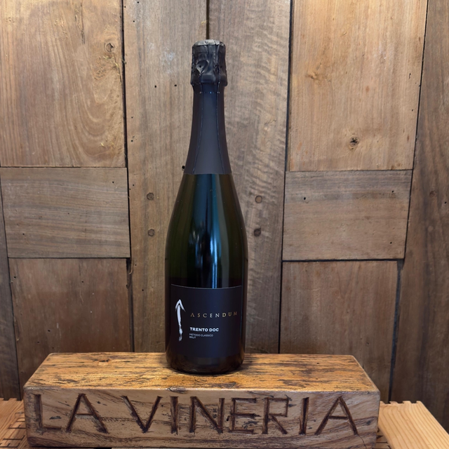 Trento Doc Brut Ascendum Vol. 12.5% cl75