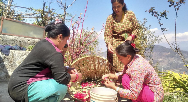 WOMENS  MICRO LOAN SUPPORT  