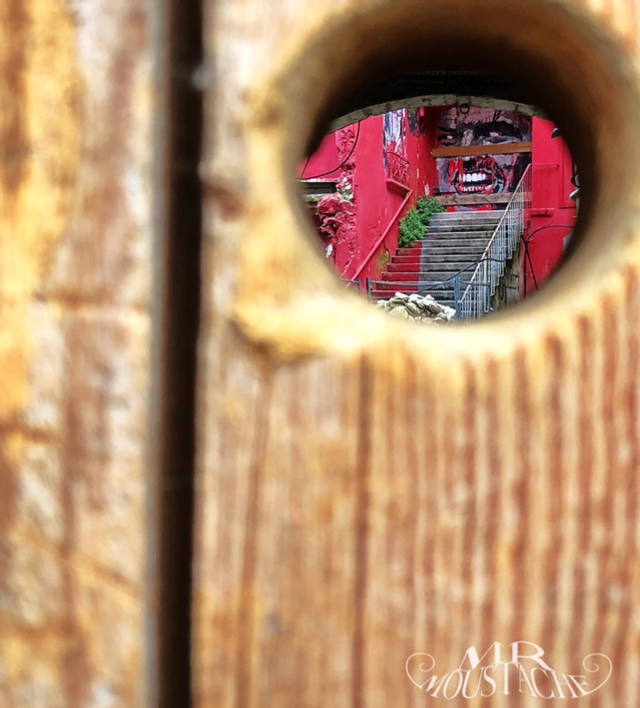 Shining à L’Isle-sur-la-Sorgue .