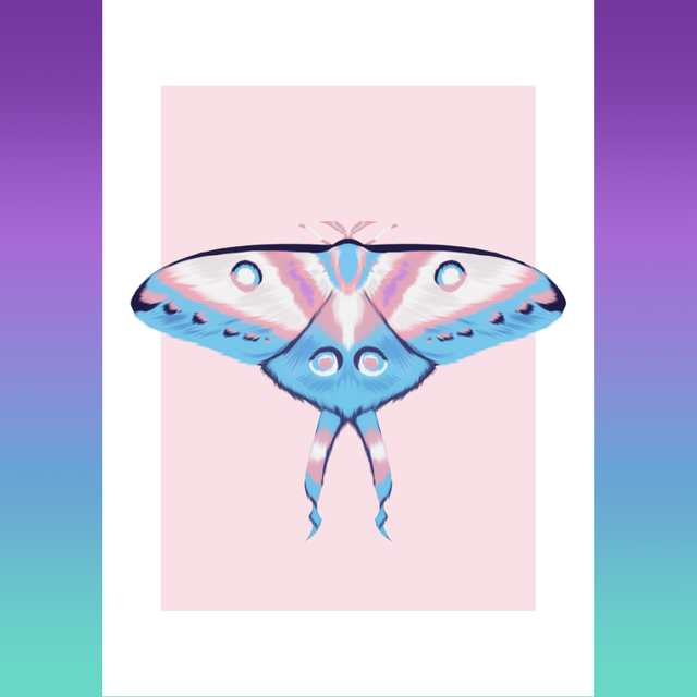 MOTH SERIES - Transgender Print