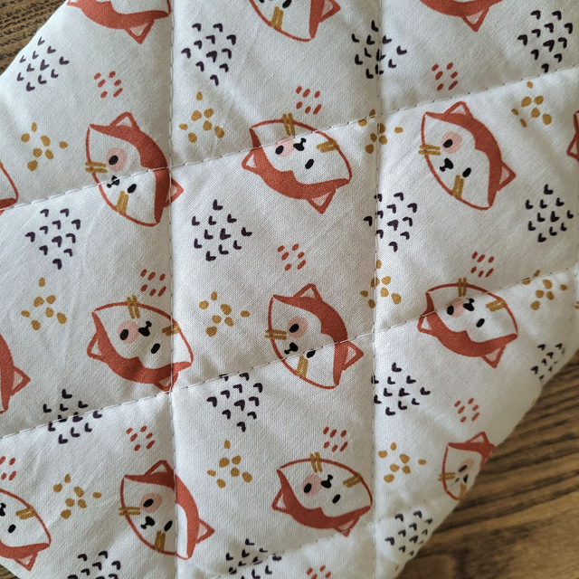 Pochette pour livre Grand Format : Chat roux