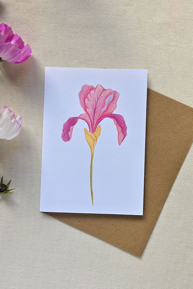 Carte au crayon de couleur - Fleur d&#039;iris