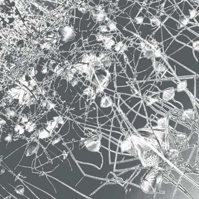 Adhésifs pour bureaux, hôtels  et ascenseurs 