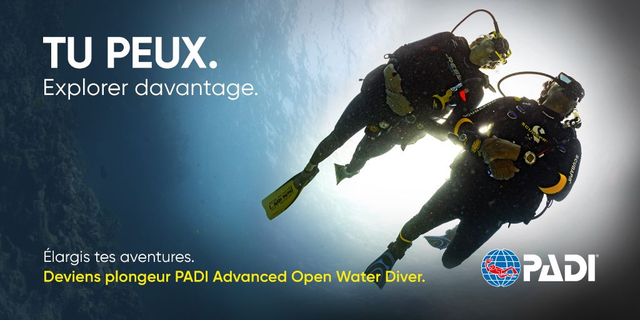 Advanced pratique 5 plongées 