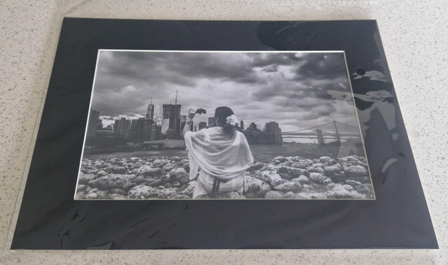 Trow / New York Montage A4 Mounted Analogue Print