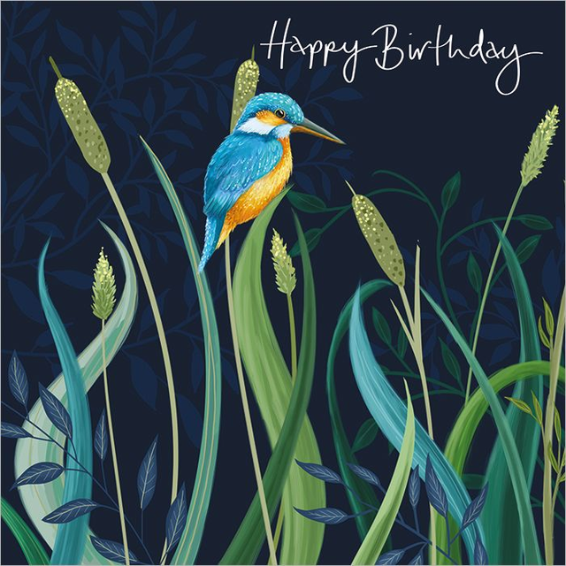 Kingfisher Birthday