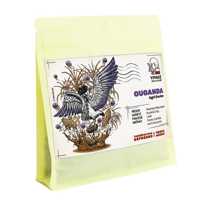 Ouganda - Agri Evolve