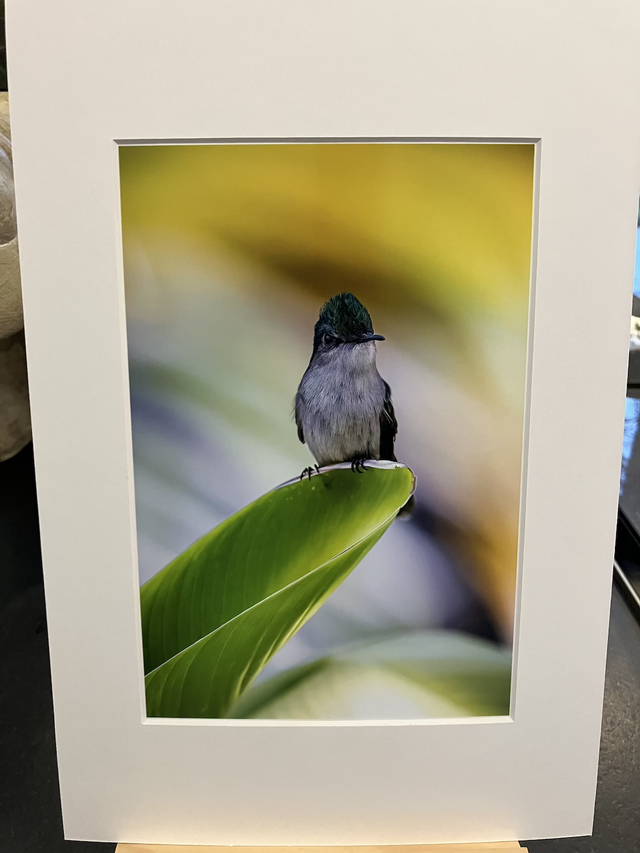 Tirage illimité Aventurine avec passe-partout 