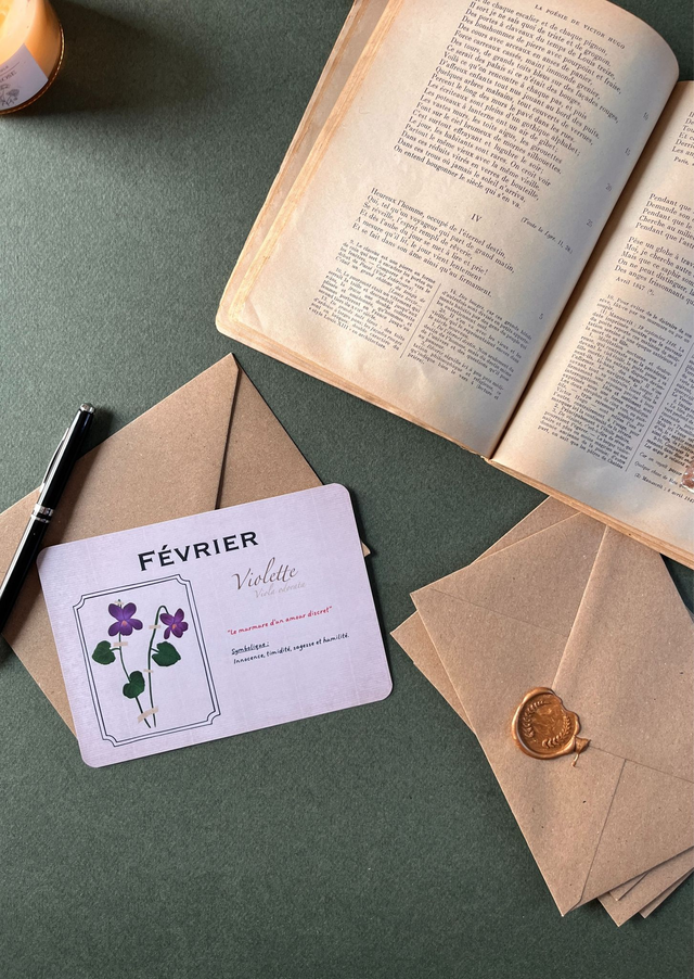 Carte 02. Février, la violette