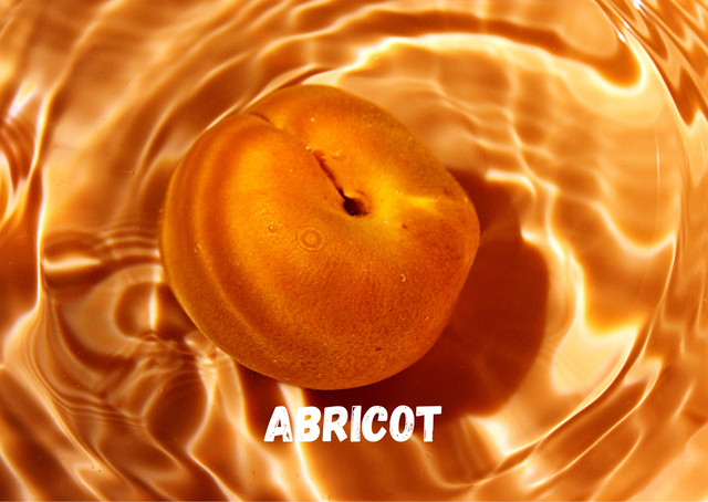 ABRICOT GALET FONDANT 15g