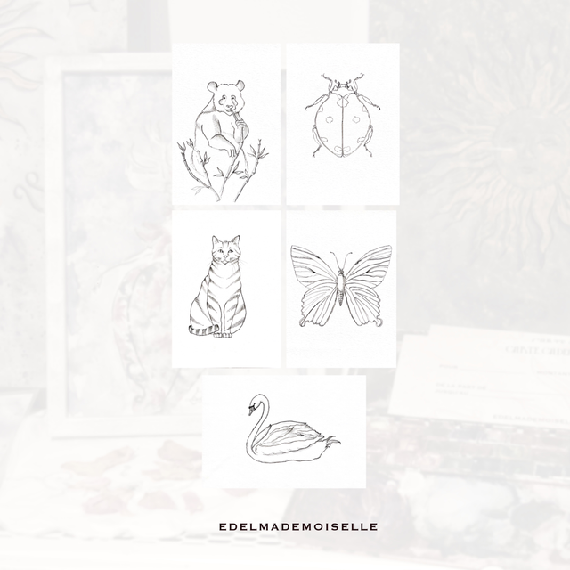 Cartes à colorier animaux 