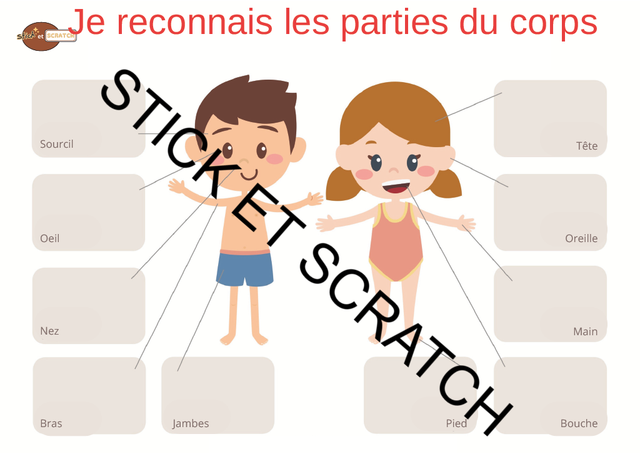 Placer les parties du corps