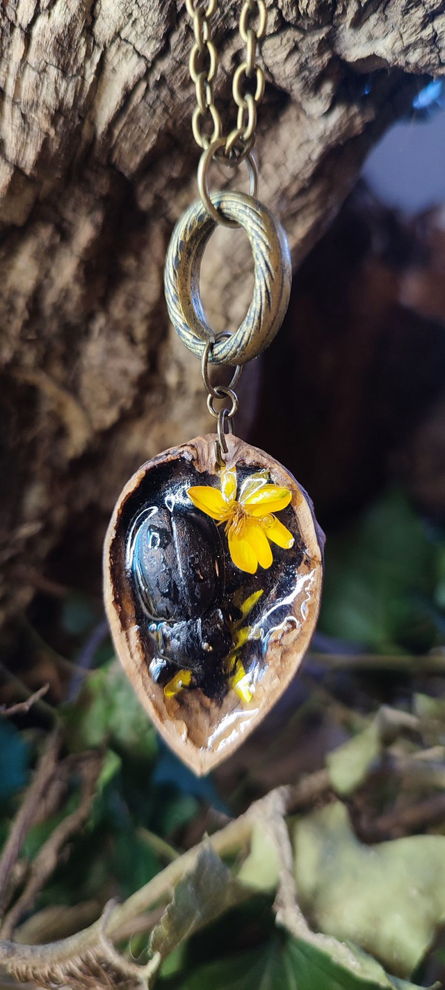 Coléoptère solaire