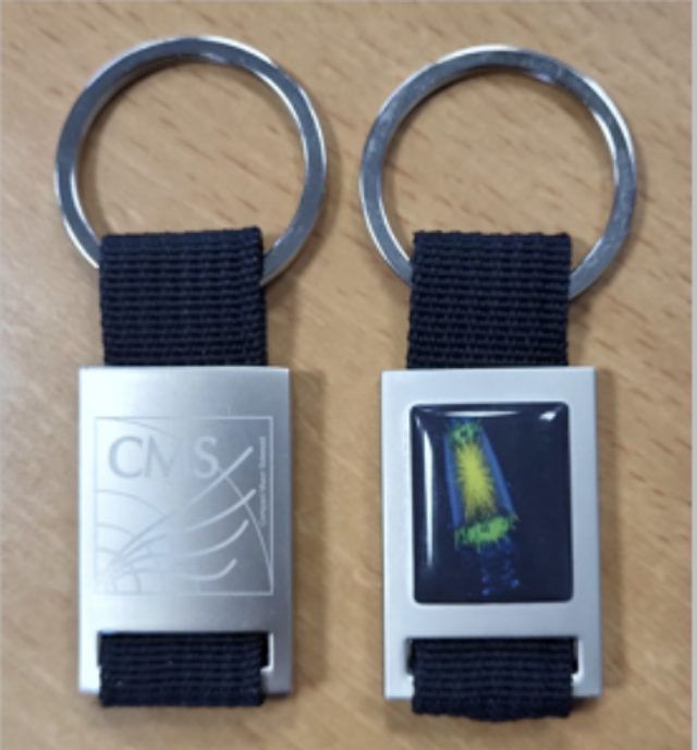 CMS Key Ring