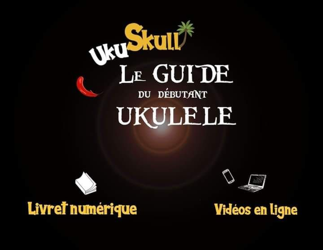 Le Guide                   du                  débutant