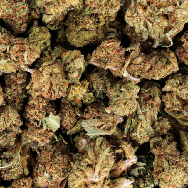 Fleurs CBD Amnesia Indoor