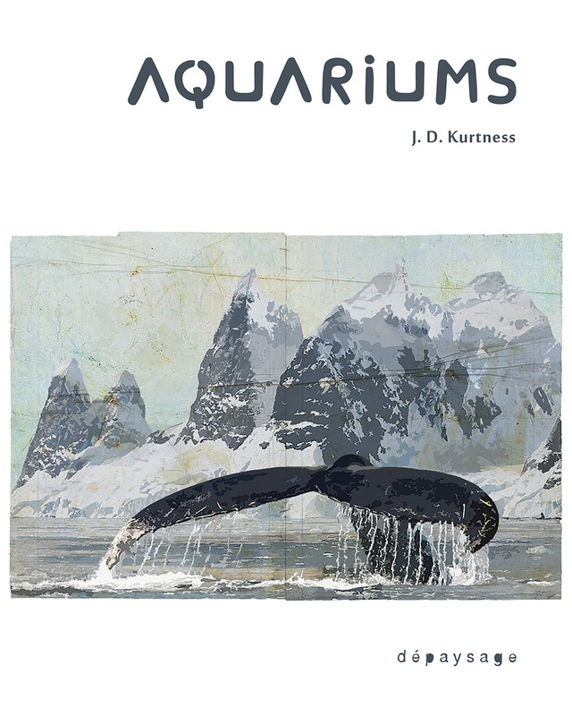 J. D. Kurtness — Aquariums, 2024