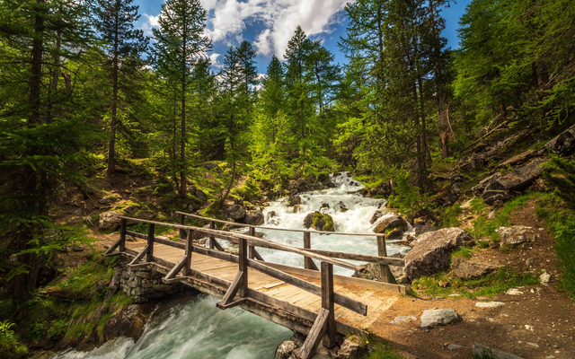 Ponte sul torrente