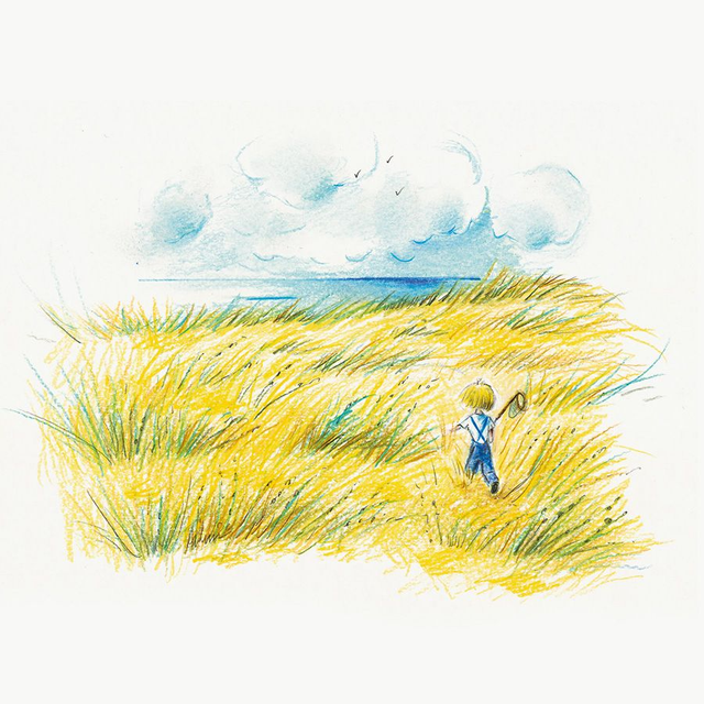 Claire - Les tirages raffinés