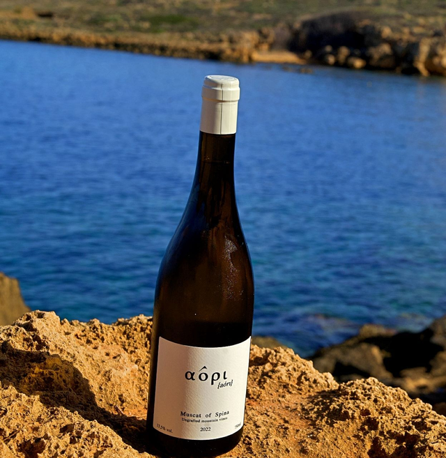AÔRI ( 2022) / MUSCAT OF SPINA /Blanc sec