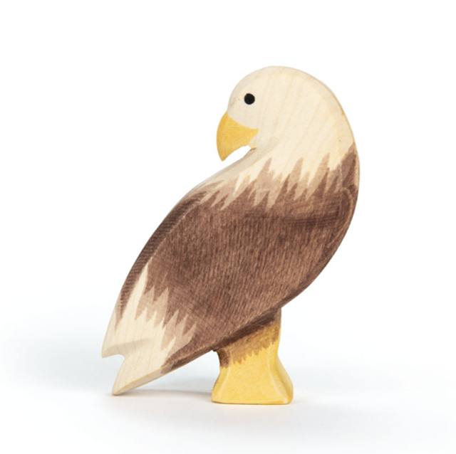 Ostheimer Seeadler stehend 