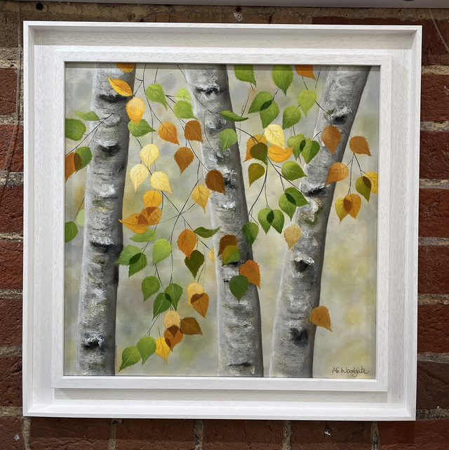 Silver birch trees