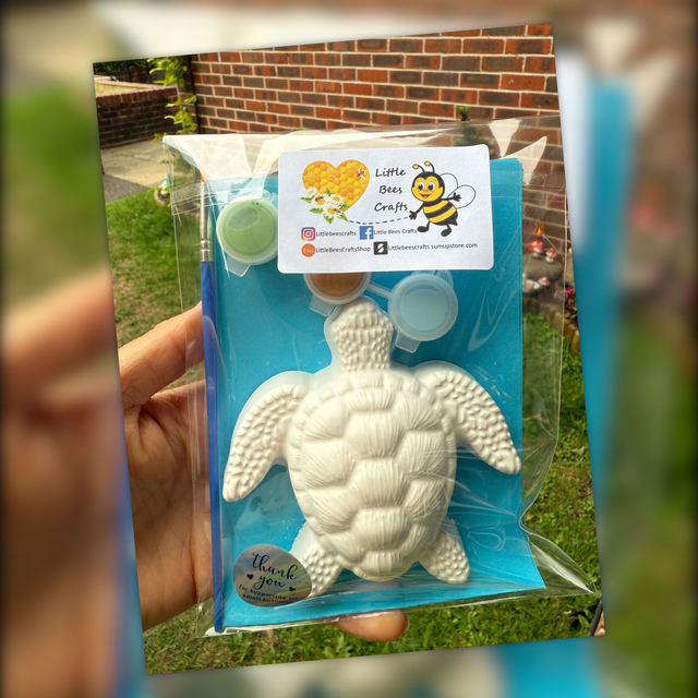 Turtle Painting Kit - Under The Sea Theme  - Sea Creatures - Party Bag Filler - Kids Activity - Painting kit - Birthday Activity 